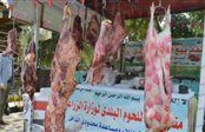كيف تستعد وزارة الزراعة لموسم عيد الأضحي المبارك؟