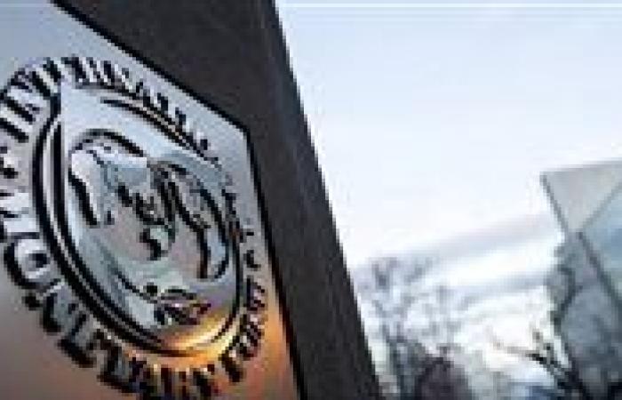 عاجل.. صندوق النقد: بدء المراجعة الخامسة لبرنامج التمويل لمصر هذا الأسبوع