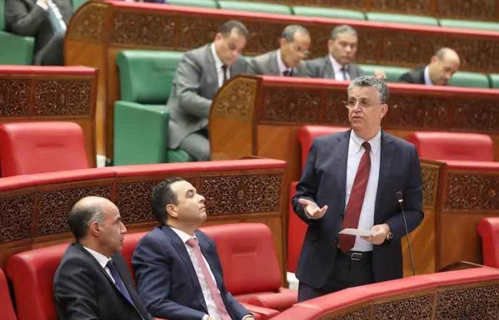 وهبي: ندرس تحميل الآباء والمدرسين مسؤولية جنائية عن أفعال القاصرين