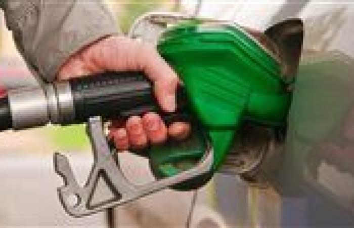 عاجل.. البترول: لا وجود لحالات غش في البنزين.. ونتائج التحاليل سلبية